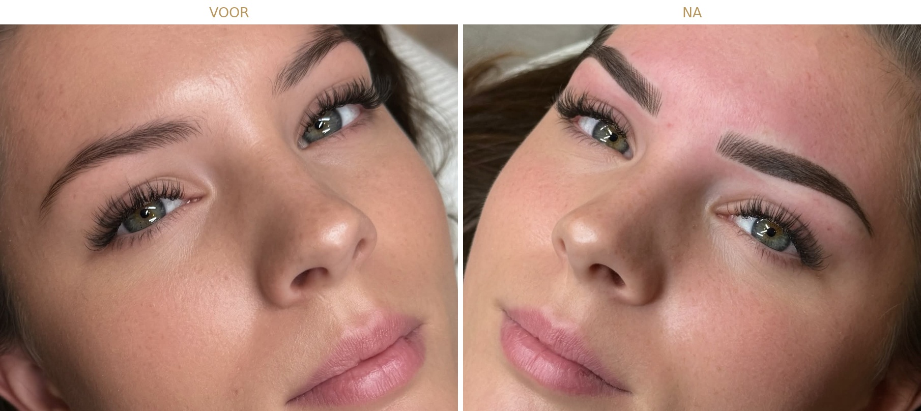 Nanobrows Roshalobrows PMU Hengelo